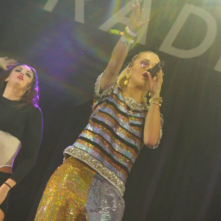 Donauinselfest 2014 - Tag 3 - Part III