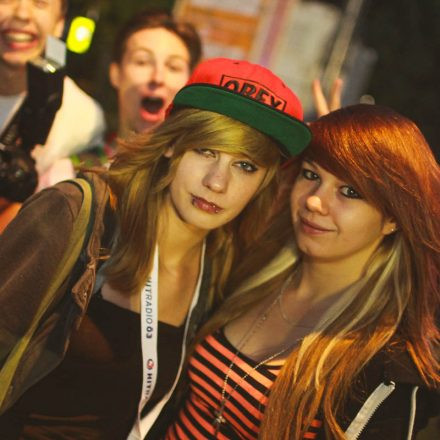 Donauinselfest 2014 - Tag 3 - Part III