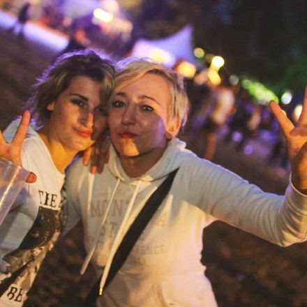 Donauinselfest 2014 - Tag 3 - Part III