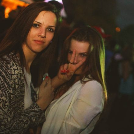 Donauinselfest 2014 - Tag 3 - Part III