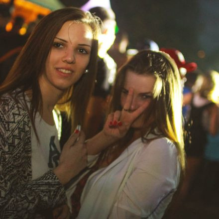 Donauinselfest 2014 - Tag 3 - Part III