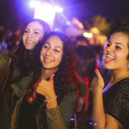 Donauinselfest 2014 - Tag 3 - Part III