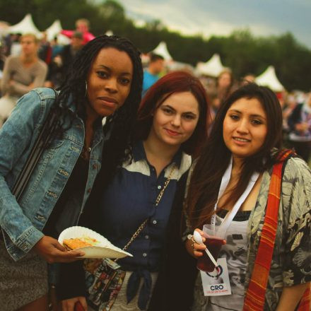 Donauinselfest 2014 - Tag 3 - Part III
