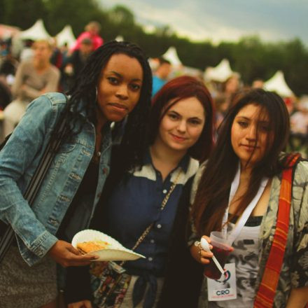 Donauinselfest 2014 - Tag 3 - Part III