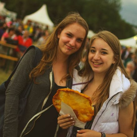 Donauinselfest 2014 - Tag 3 - Part III