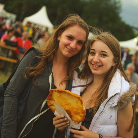 Donauinselfest 2014 - Tag 3 - Part III