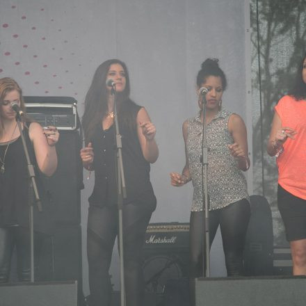 Donauinselfest - Tag 3 - Part V @ Donauinsel