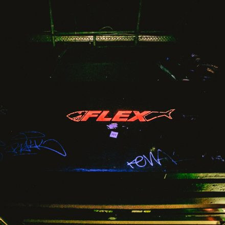 The EDM Showcase @ Flex