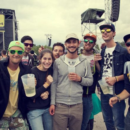 Frequency Festival 2014 Day 1 - Part 2 @ Green Park