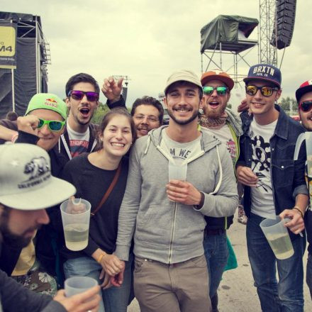 Frequency Festival 2014 Day 1 - Part 2 @ Green Park
