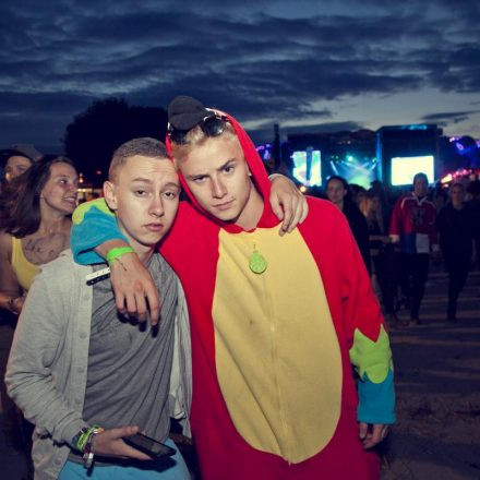 Frequency Festival 2014 Day 1 - Part 2 @ Green Park