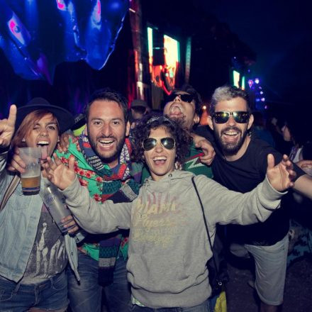 Frequency Festival 2014 Day 1 - Part 2 @ Green Park