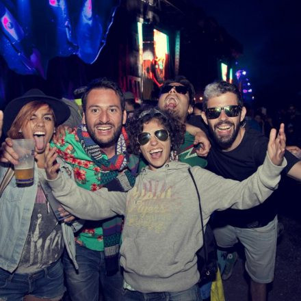Frequency Festival 2014 Day 1 - Part 2 @ Green Park