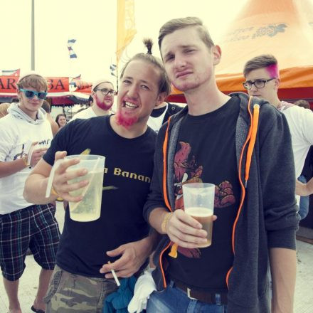 Frequency Festival 2014 Day 1 - Part 2 @ Green Park