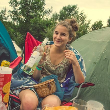 Frequency Festival 2014 Day 1 - Part 5 @ Green Park