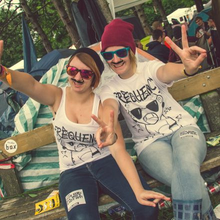 Frequency Festival 2014 Day 1 - Part 5 @ Green Park