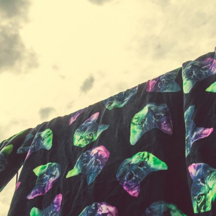 Frequency Festival 2014 Day 1 - Part 5 @ Green Park