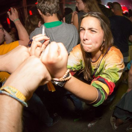 Frequency Festival 2014 Night 1 Part 1 @ Green Park