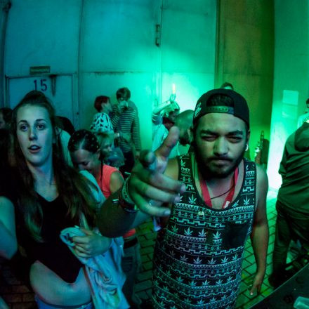 Frequency Festival 2014 Night 1 Part 1 @ Green Park