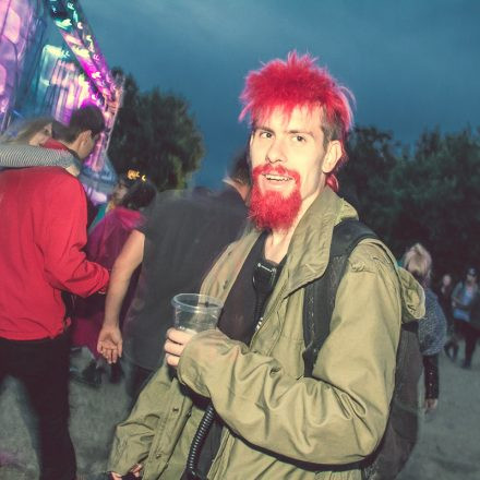Frequency Festival 2014 Day 2 Part 4 @ Green Park