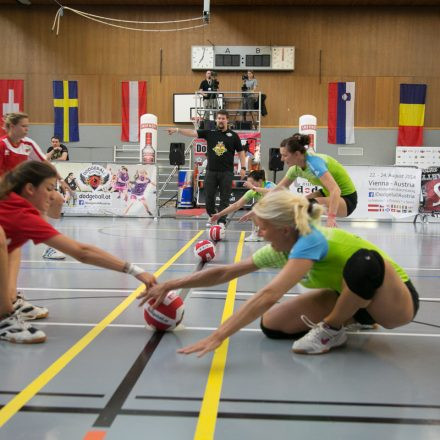 European Dodgeball Championship 2014 @ USZ-Schmelz