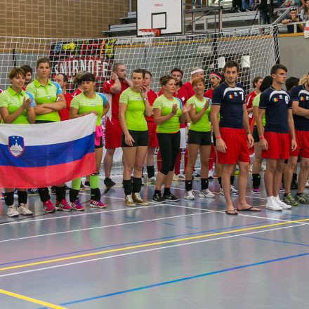 European Dodgeball Championship 2014 @ USZ-Schmelz