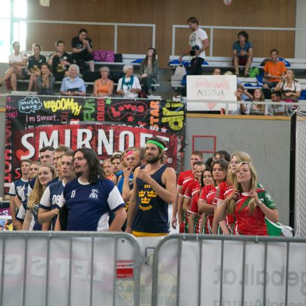 European Dodgeball Championship 2014 @ USZ-Schmelz