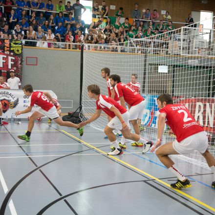 European Dodgeball Championship 2014 @ USZ-Schmelz