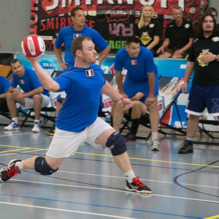 European Dodgeball Championship 2014 @ USZ-Schmelz