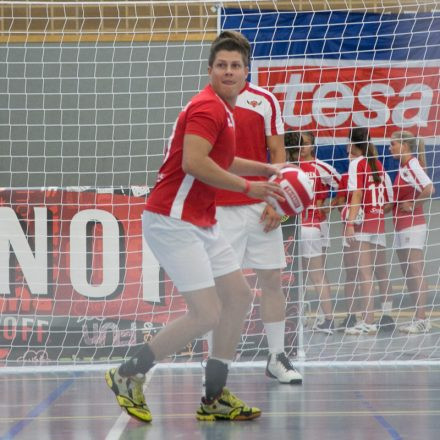 European Dodgeball Championship 2014 @ USZ-Schmelz