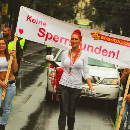 Streetparade 2014 Part I @ Ring