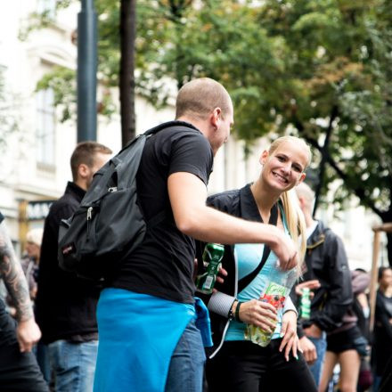 Streetparade 2014 Part II @ Ring