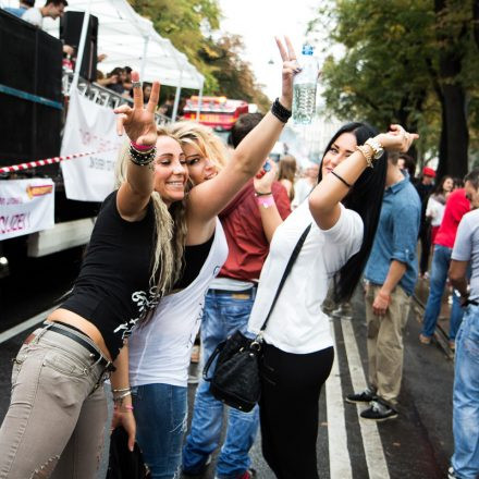 Streetparade 2014 Part II @ Ring