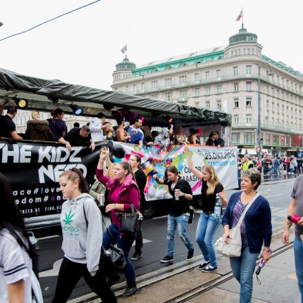 Streetparade 2014 Part II @ Ring