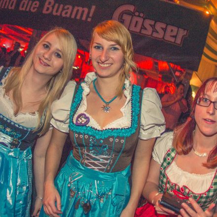 Wiener Wiesn Fest 2014 Tag 2 @ Kaiserwiese