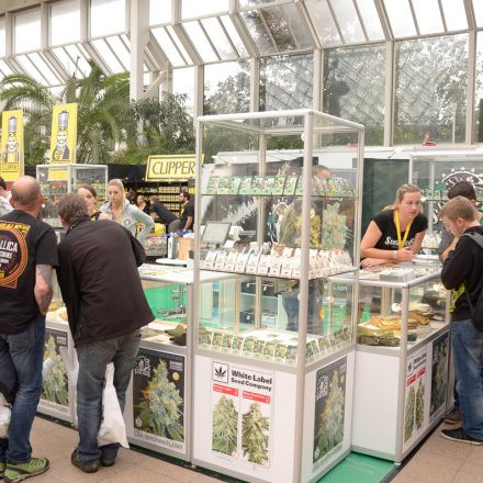 Cultiva Hanfmesse 2014