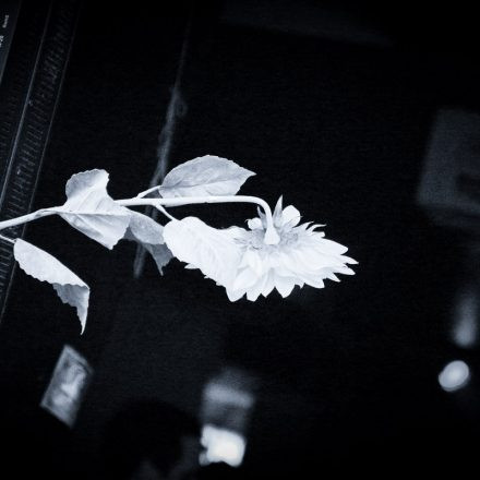 Anzengruber @ Pratersauna