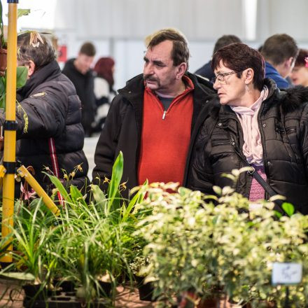 Exotica Wien @ MGC Messe Wien