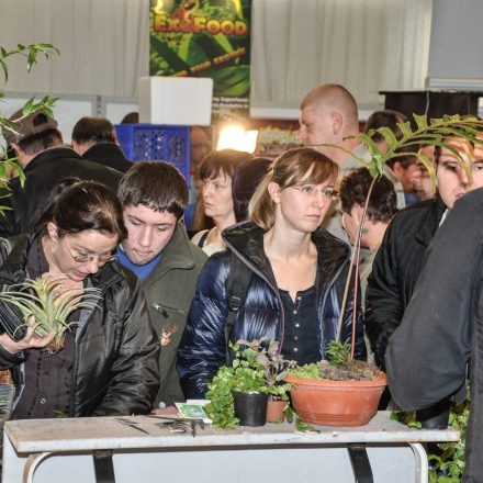 Exotica Wien @ MGC Messe Wien