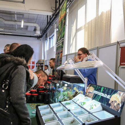 Exotica Wien @ MGC Messe Wien