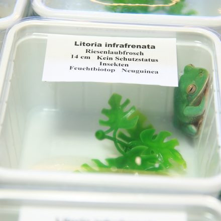 Exotica Wien @ MGC Messe Wien