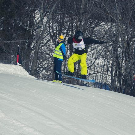 Boarderchallenge Vienna - Wiener Schulmeisterschaften 2015 @ Annaberg