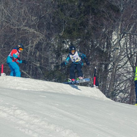 Boarderchallenge Vienna - Wiener Schulmeisterschaften 2015 @ Annaberg