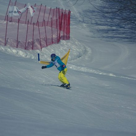 Boarderchallenge Vienna - Wiener Schulmeisterschaften 2015 @ Annaberg