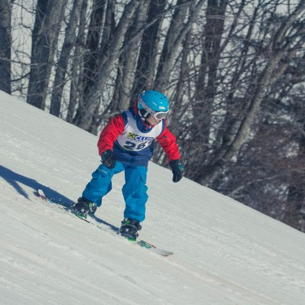 Boarderchallenge Vienna - Wiener Schulmeisterschaften 2015 @ Annaberg