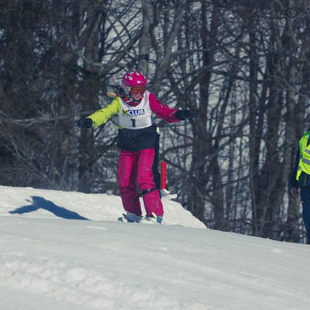 Boarderchallenge Vienna - Wiener Schulmeisterschaften 2015 @ Annaberg