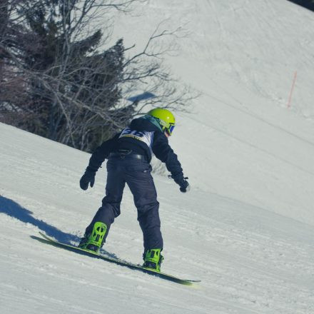 Boarderchallenge Vienna - Wiener Schulmeisterschaften 2015 @ Annaberg