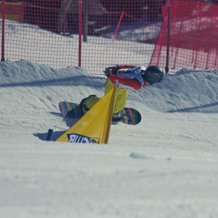 Boarderchallenge Vienna - Wiener Schulmeisterschaften 2015 @ Annaberg