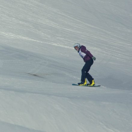 Boarderchallenge Vienna - Wiener Schulmeisterschaften 2015 @ Annaberg