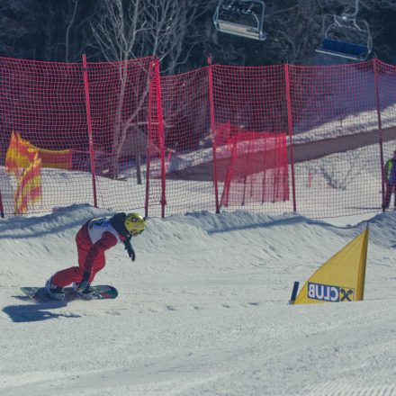 Boarderchallenge Vienna - Wiener Schulmeisterschaften 2015 @ Annaberg